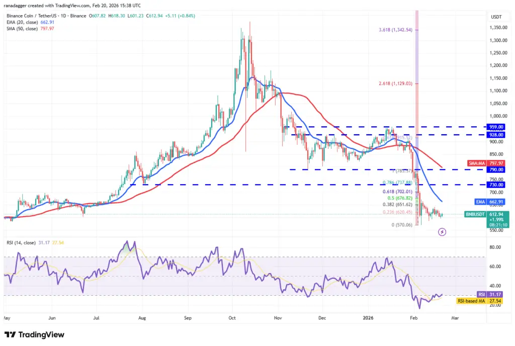 نمودار یک روزه قیمت BNB
