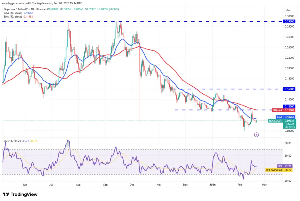 نمودار یک روزه قیمت دوج کوین