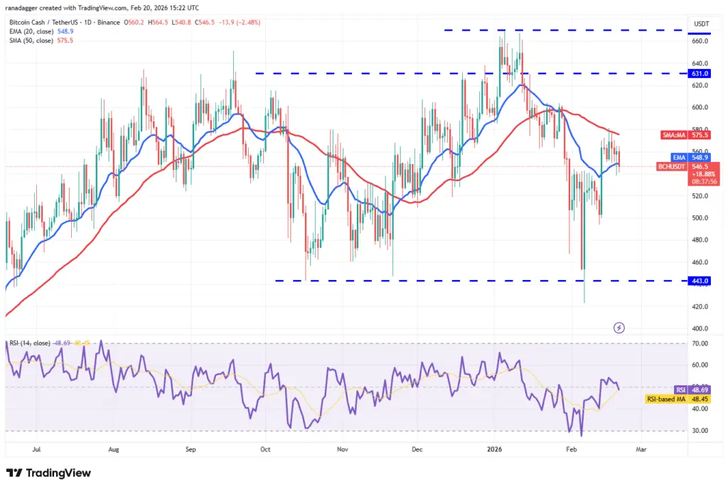 نمودار یک روزه قیمت بیت کوین کش