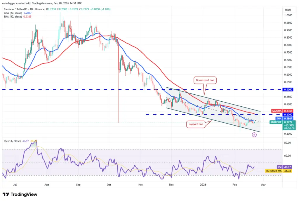 نمودار یک روزه قیمت کاردانو