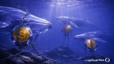 new bitcoin whales are trapped underwater but for how long