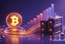 بررسی ارتباط افت هش‌ریت بیت‌کوین با قطعی اینترنت در ایران