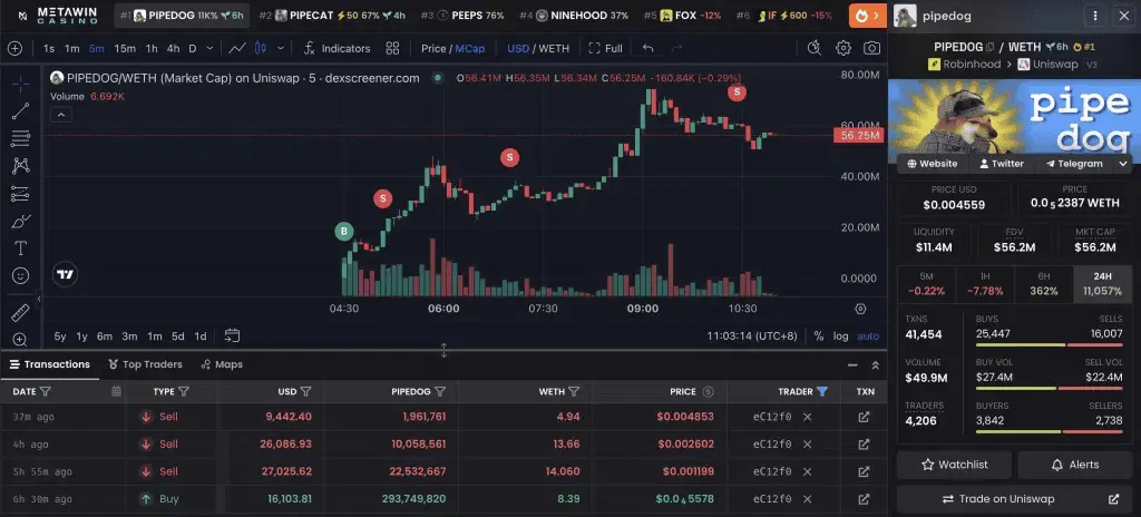 سود یک تریدر از میم کوین PIPEDOG