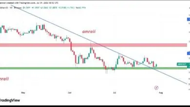 تحلیل XRP 2026-07-31