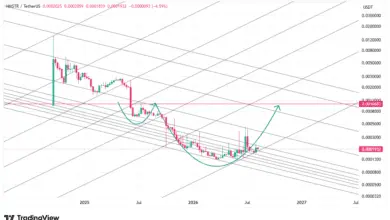 تحلیل HMSTR 2026-08-12