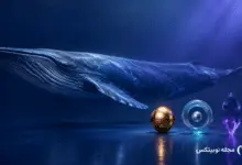 نهنگ ارز دیجیتال
