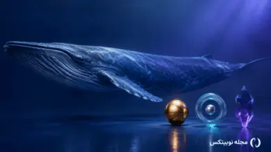 نهنگ ارز دیجیتال