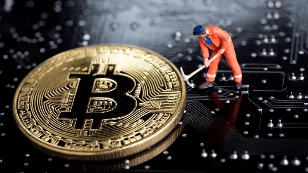 فعالیت ماینرها