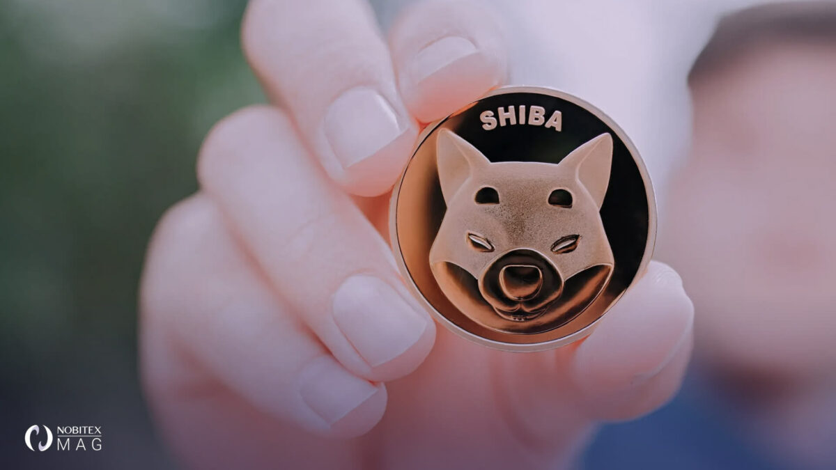 فاش شدن نام خالق Shiba Inu (SHIB) به لطف OpenSea
