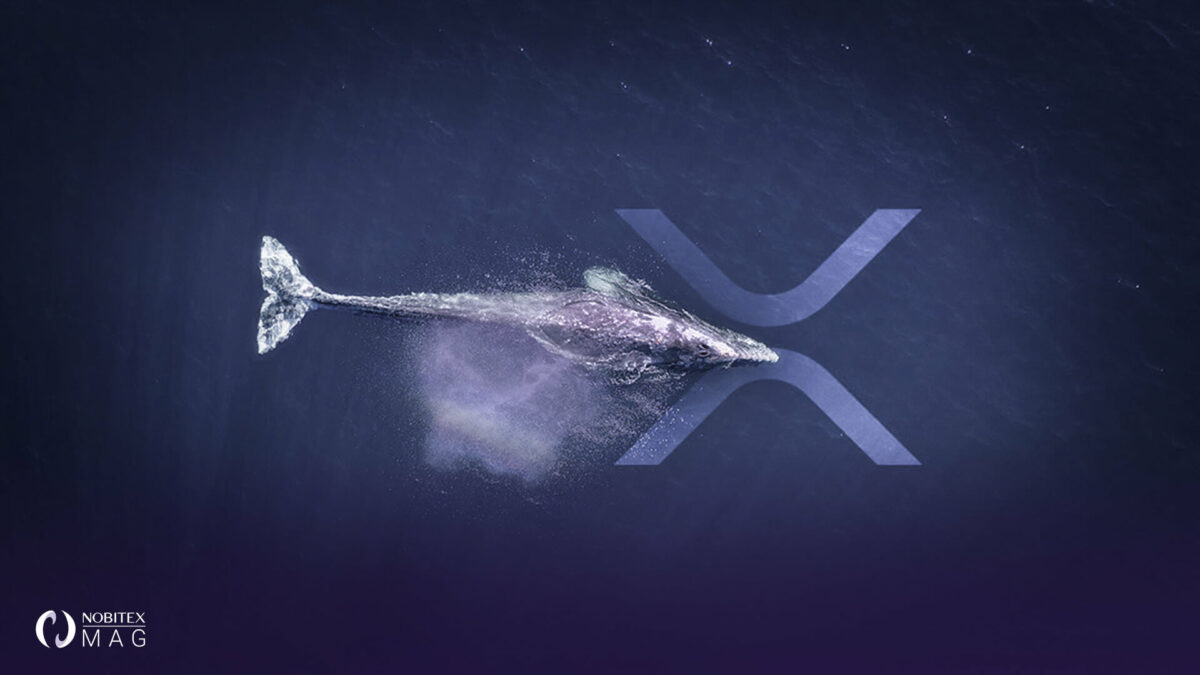 چرا نهنگ‌ها در موج صعودی همچنان XRP می‌خرند؟