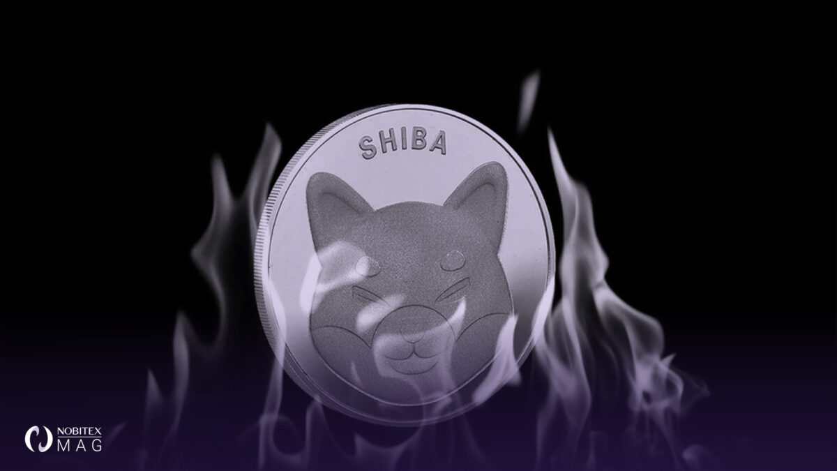 پیامد‌ افزایش قابل توجه نرخ سوختن Shiba Inu و PancakeSwap چیست؟