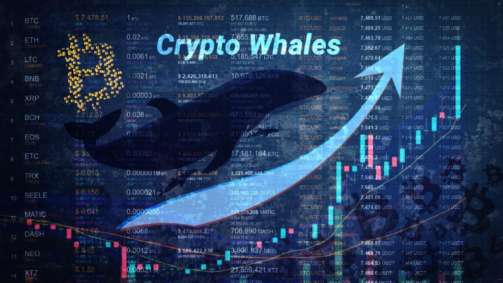 ترید نهنگ ارز دیجیتال
