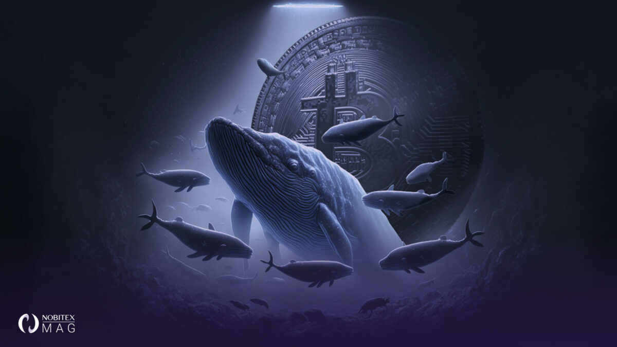 انتقال 526 میلیون دلار بیت‌کوین در میان رالی بازیابی قیمت؛ نهنگ‌ها مشغول کارند!