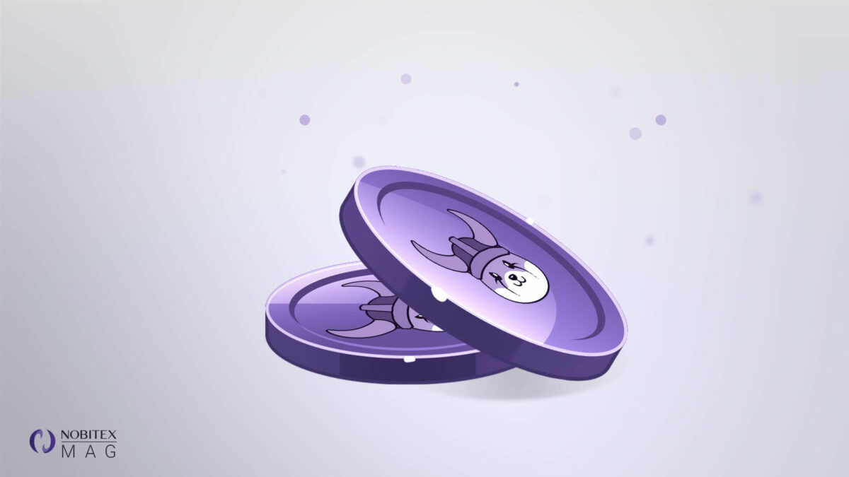 ارز فلوکی floki چیست؟