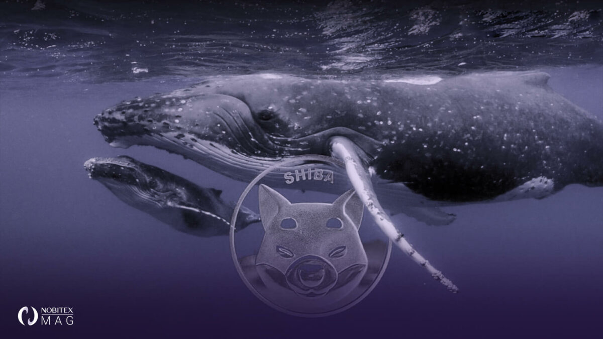 نهنگ شیبا پس از هولد یک روزه، 40 میلیون دلار SHIB را جابجا کرد