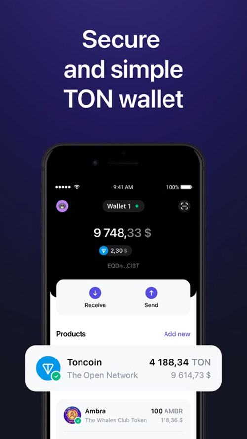 تون هاب کیف پول توکن TON