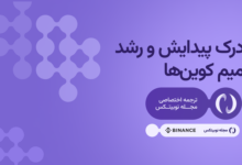 دلیل رشد میم کوین ها