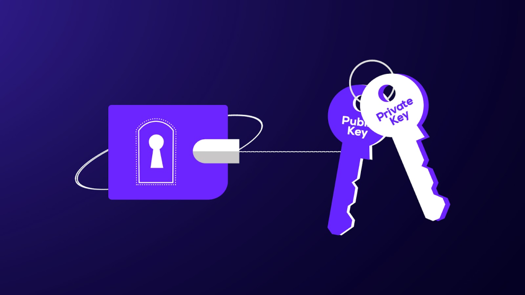 Private Key – کلید خصوصی