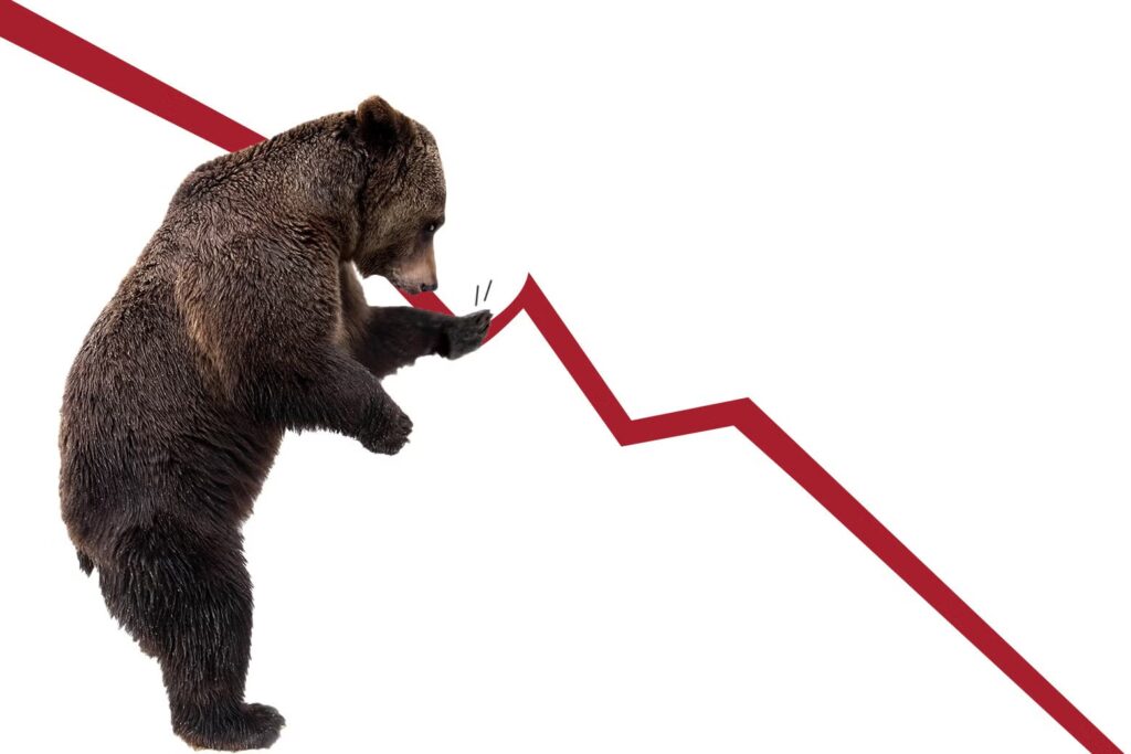 بازار خرسی (Bear Market) چیست و چه نشانه‌هایی دارد؟