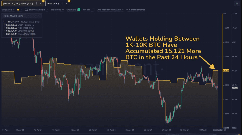 انباشت بیت کوین توسط نهنگ‌ها