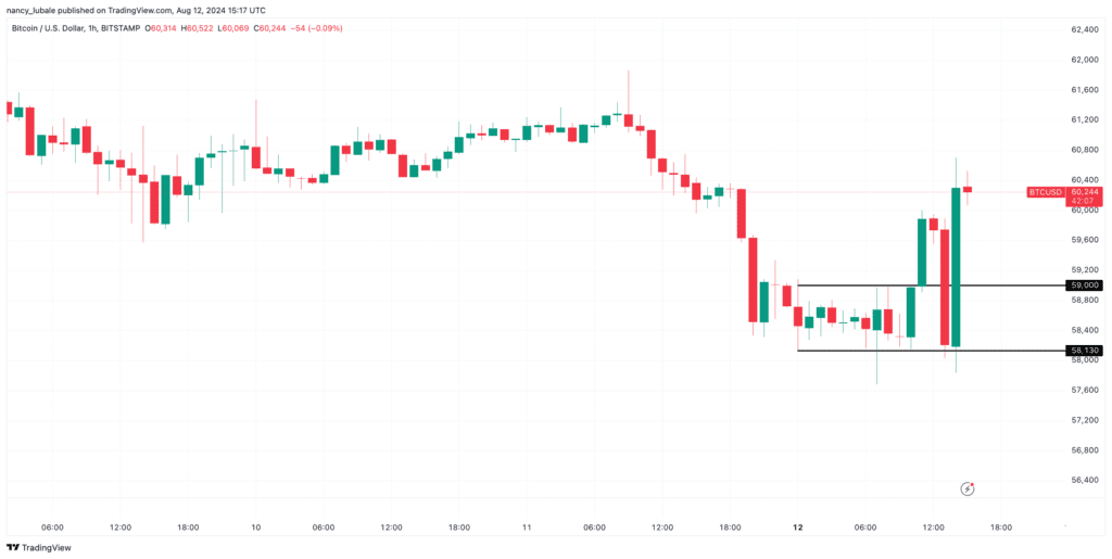 نوسانات بیت کوین