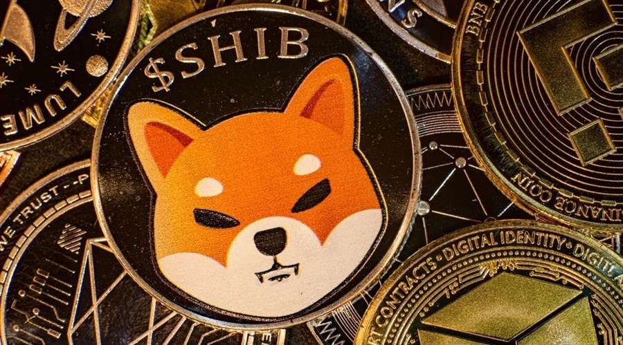 شیبا اینو (Shiba Inu)