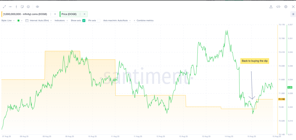 خرید دوج کوین توسط نهنگ‌ها