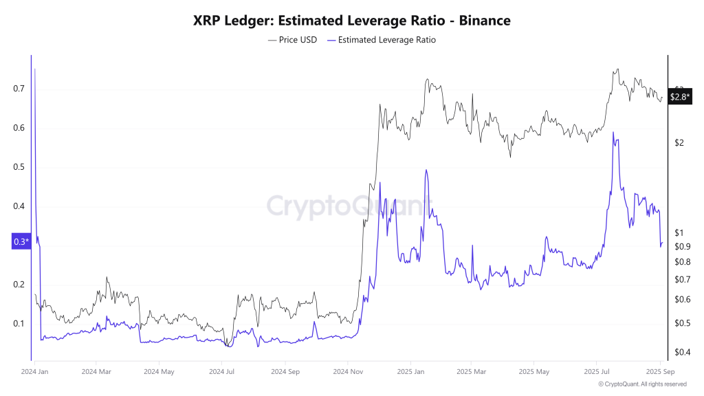 نسبت اهرمی تخمینی XRP در بایننس