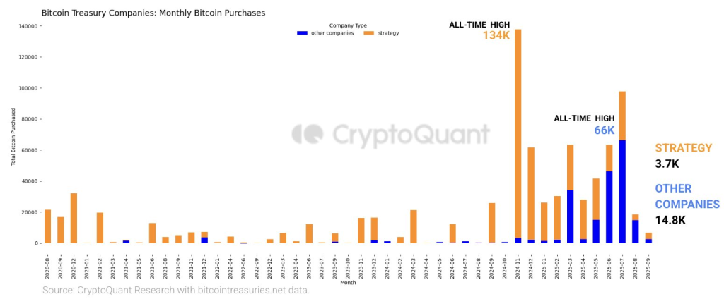 خرید ماهانه بیت کوین از سوی شرکت‌های ذخیره‌سازی BTC