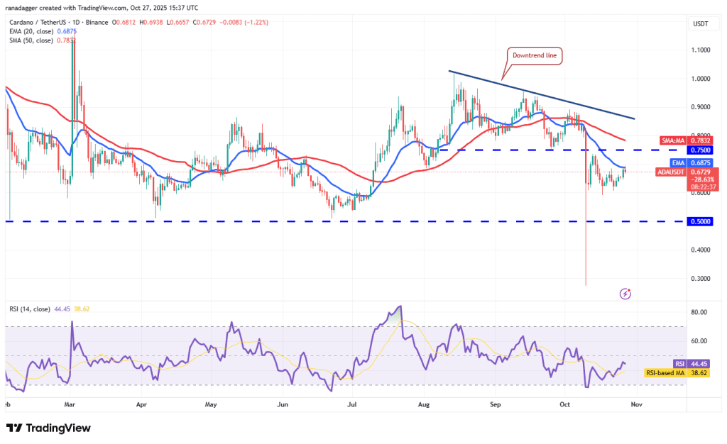 نمودار یک روزه قیمت کاردانو