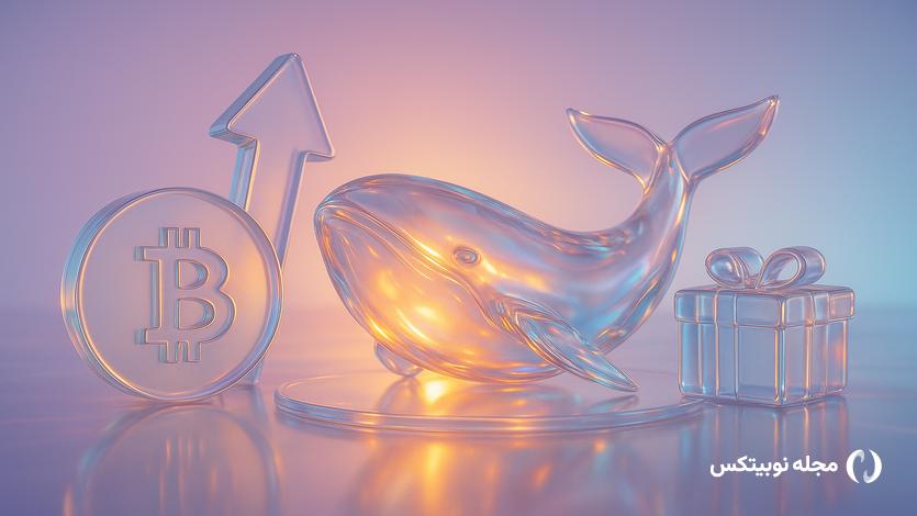 altcoins crypto whales buying for december gains