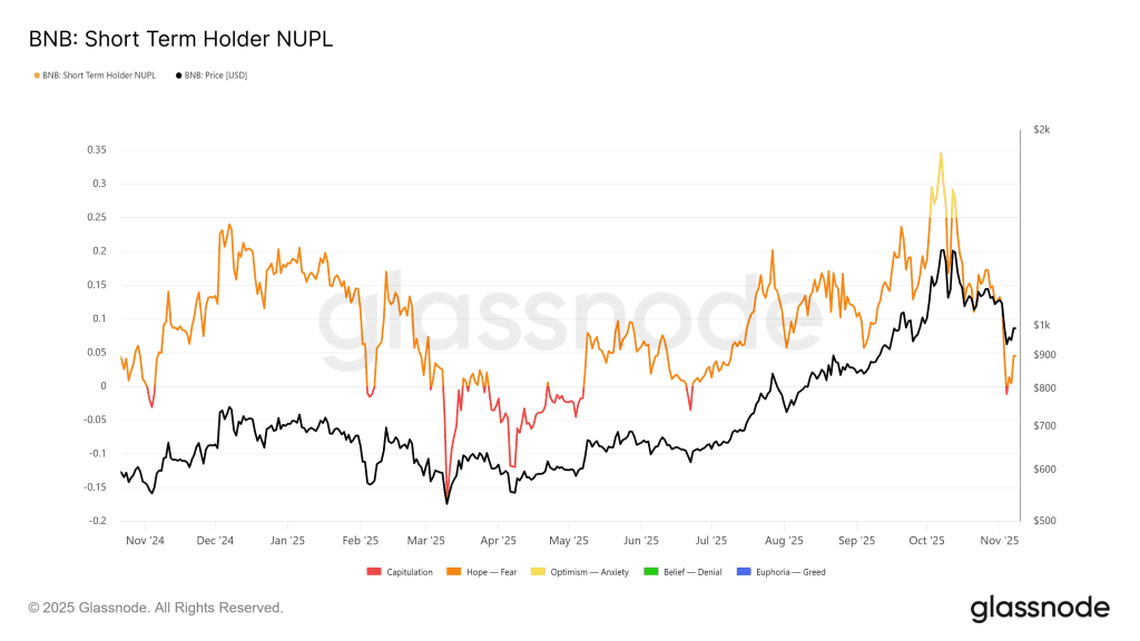 سود و زیان تحقق‌نیافته هولدرهای کوتاه‌مدت BNB