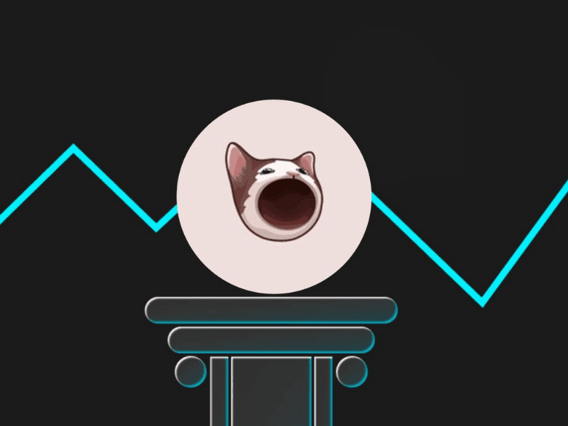 تاریخچه قیمت پاپ کت