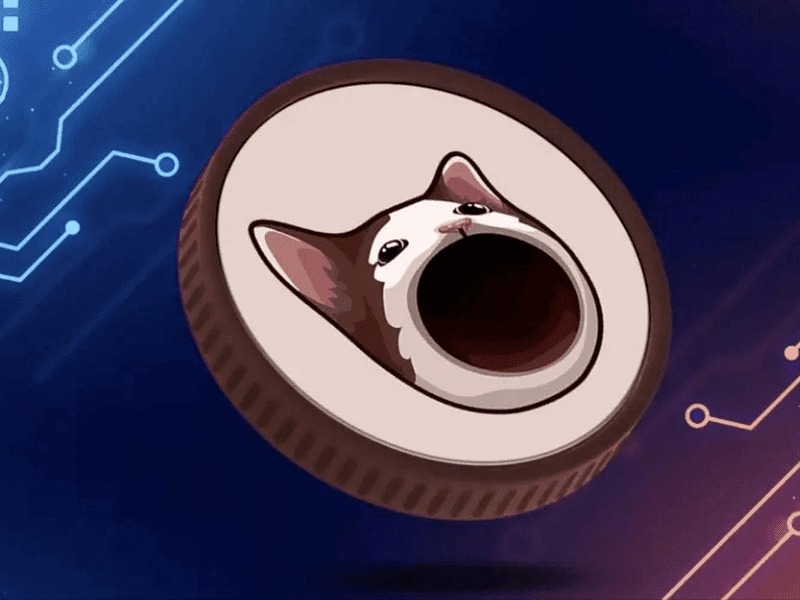 معرفی ارز دیجیتال پاپ کت