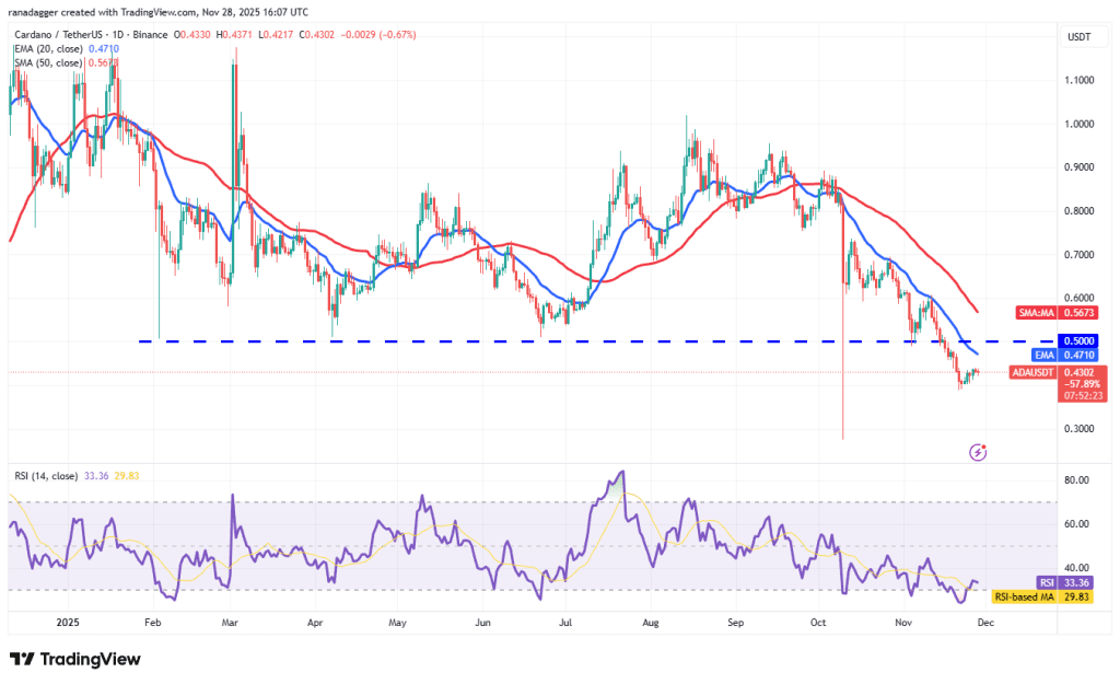 نمودار یک روزه قیمت کاردانو
