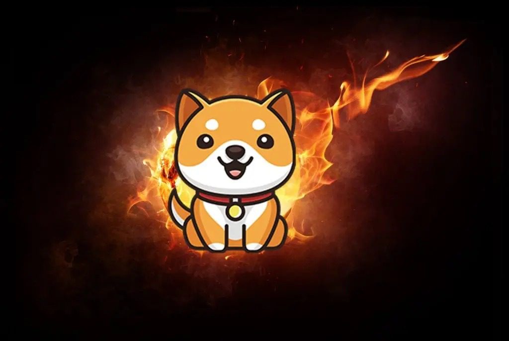 ساختار اقتصادی و توکنومیکس بیبی دوج کوین