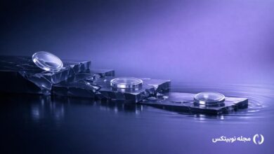 altcoins in final stage of the bear market