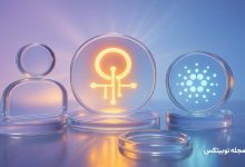 cardano developer expands to ai quantum computing