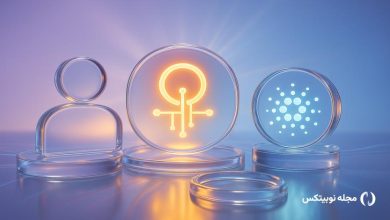 cardano developer expands to ai quantum computing