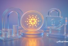 cardano midnight night rally privacy coins boom