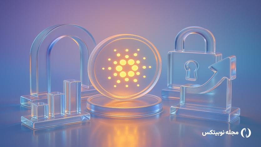 cardano midnight night rally privacy coins boom