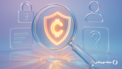 تشخیص کلاهبرداری ارز دیجیتال با هوش مصنوعی