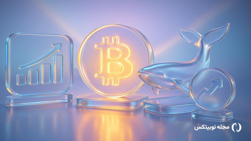 crypto whales december dip top buys