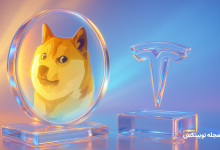 دوج کوین و تسلا