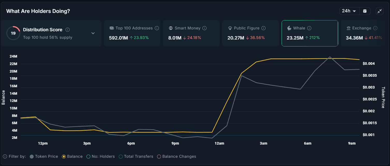 ذخایر نهنگ TURTLE آلت کوین