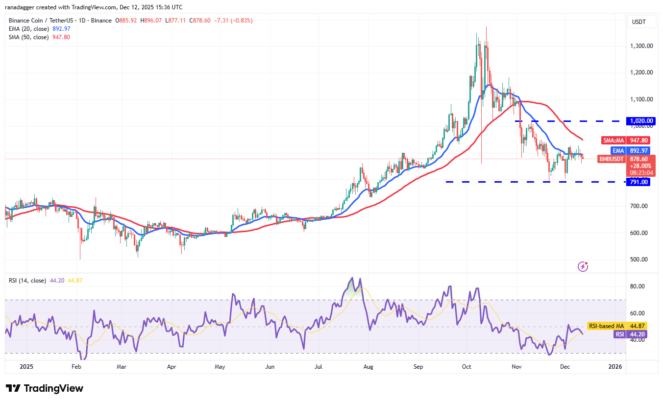 نمودار روزانه BNB/USDT