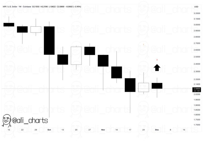 شاخص TD Sequential ریپل