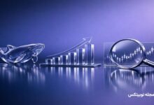 massive xrp whale purchase price analysis