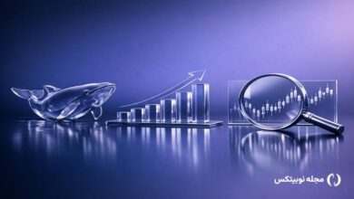 massive xrp whale purchase price analysis