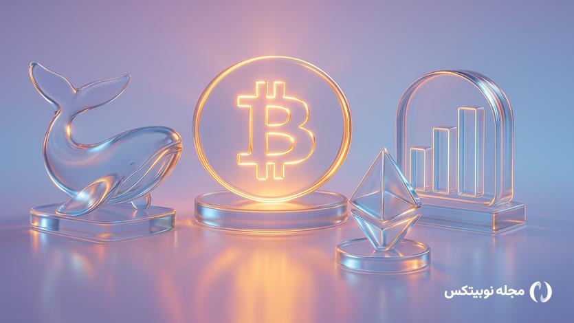 what crypto whales are buying as the market recovers